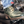 Desert Rose Boot-Loops Set