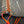 BLING LACES 55 inches